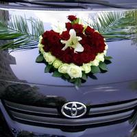 Свадебный кортеж "Toyota Corolla" - (Сумы)