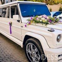 Автомобілі на весілля в Одесі