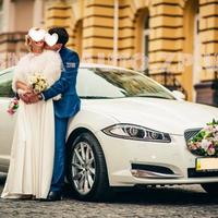 ZPAuto - авто на свадьбу, бизнес