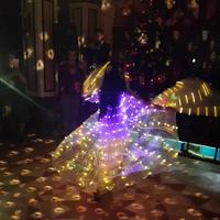 Світлодіодні крила ( танець-шоу)