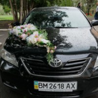 Авто на весілля,весільний кортеж в Сумах
