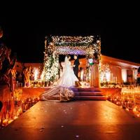 Весільні арки від "Mopis"
