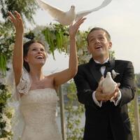 аренда голубей на свадьбу