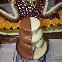 компанія "Два шоколади", шоколадні фонтани та фруктові композиції
