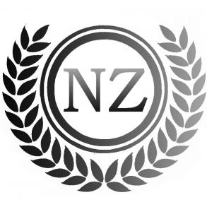 Дует ведучих "NZ"