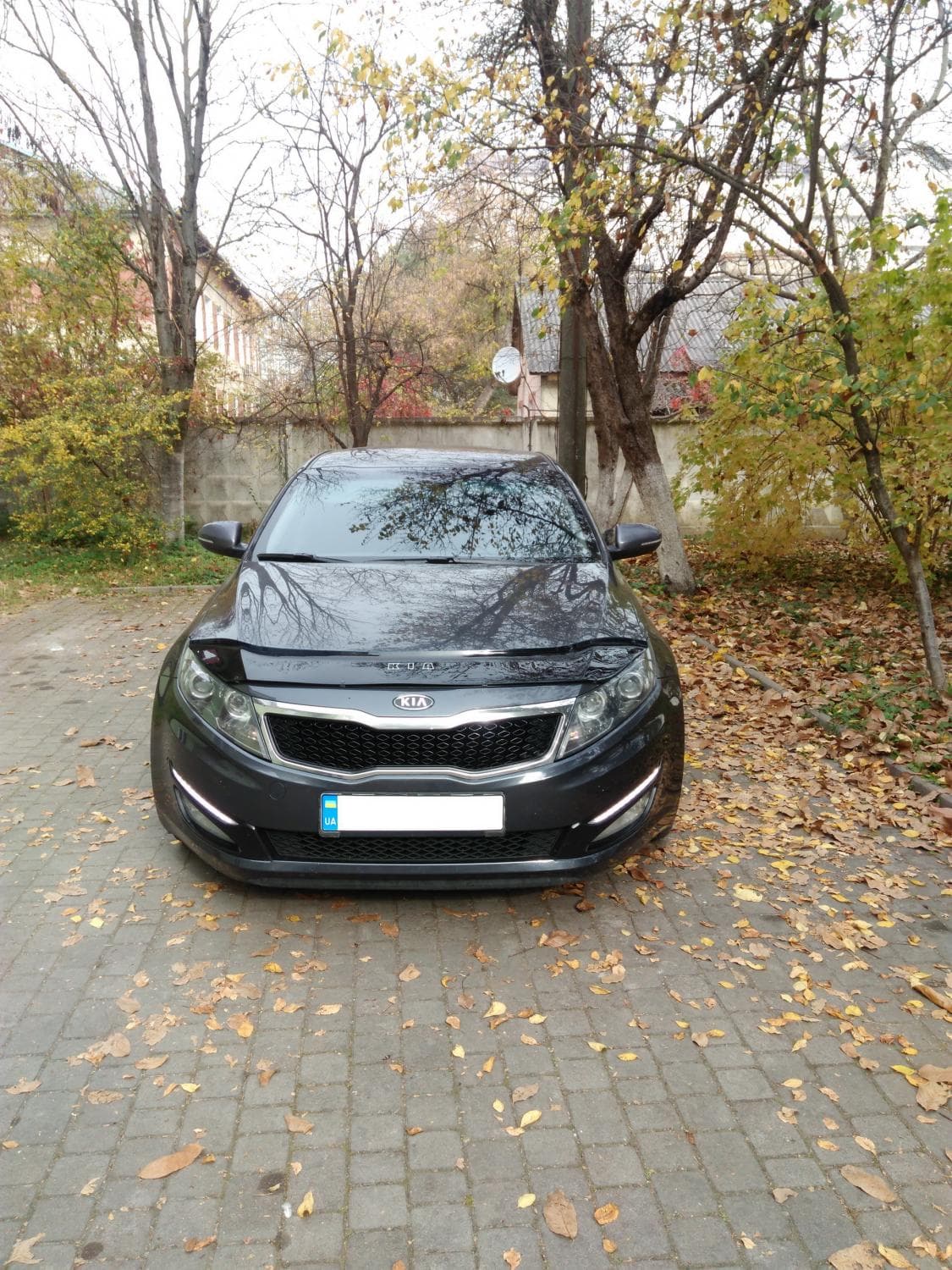 весільний кортеж — фото 1