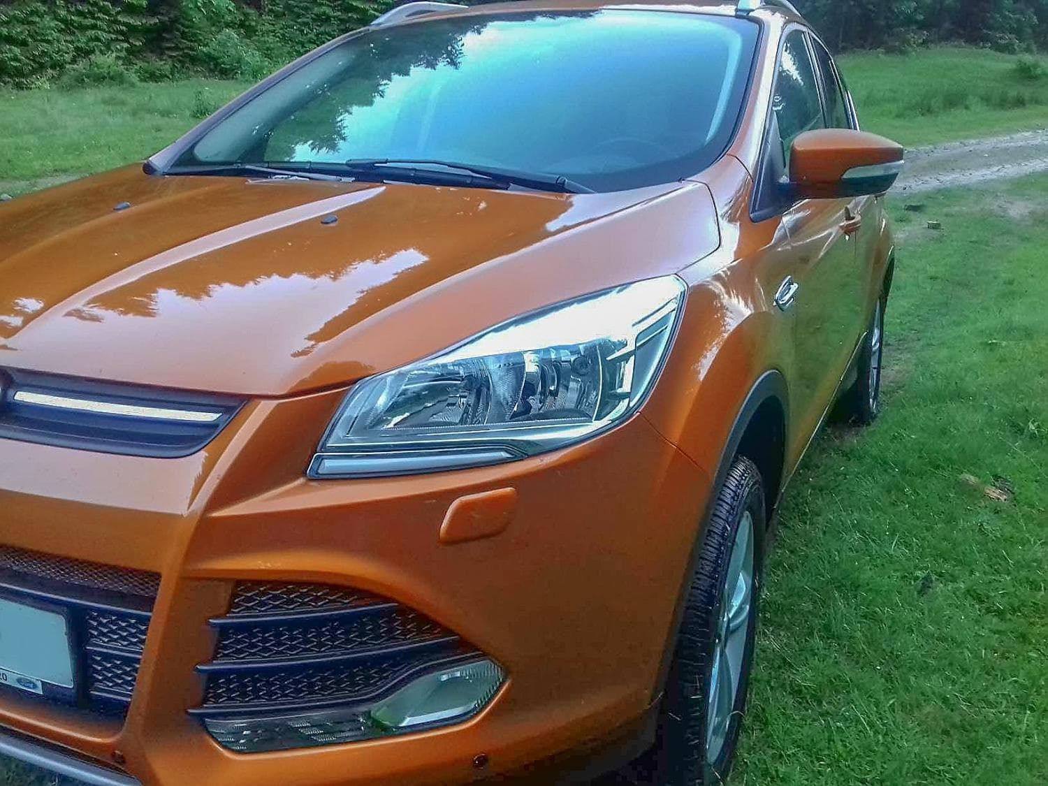 Рудий FORD KUGA та білий MERCEDES VITO — фото 1