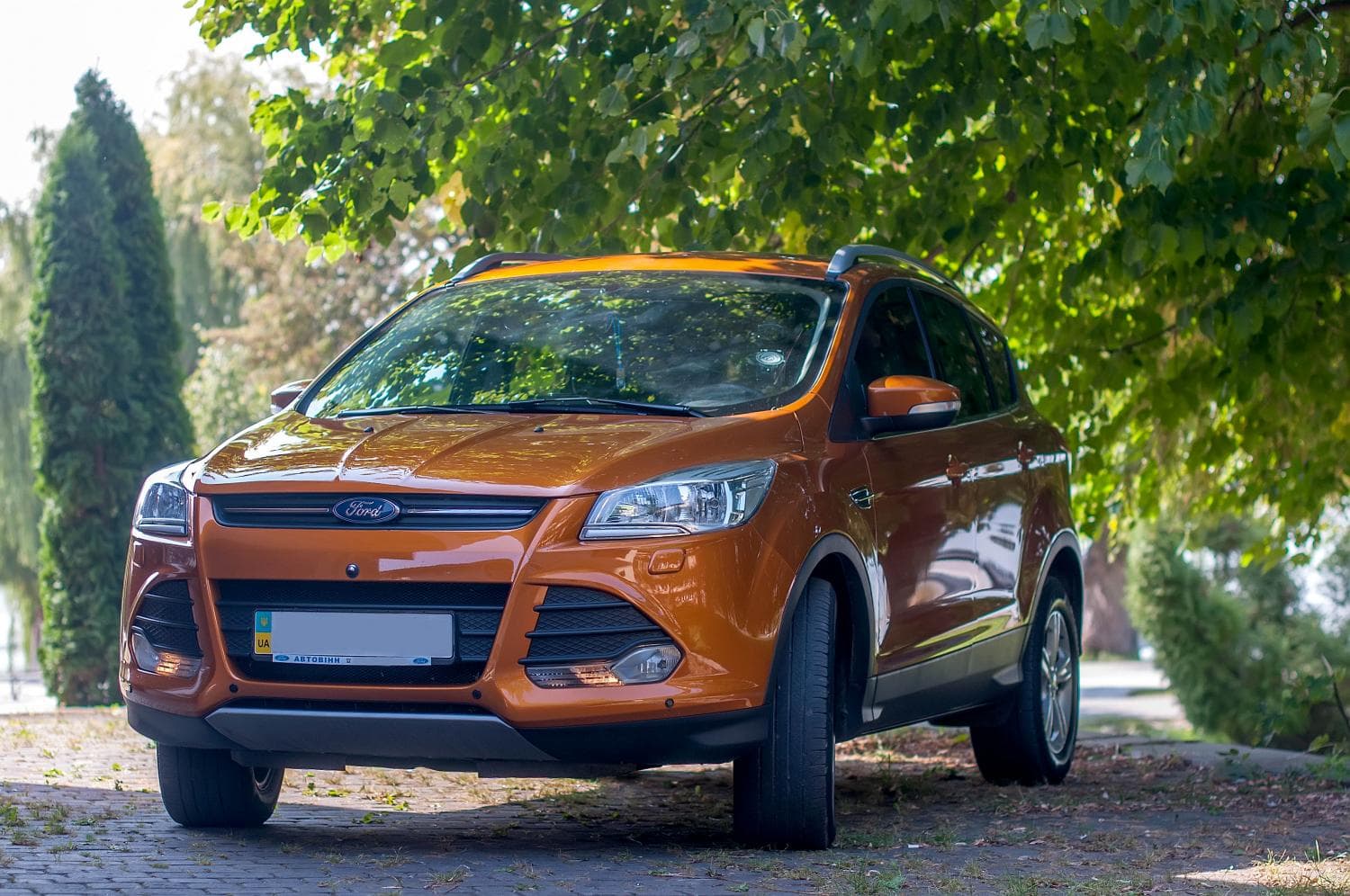 Рудий FORD KUGA та білий MERCEDES VITO — фото 3
