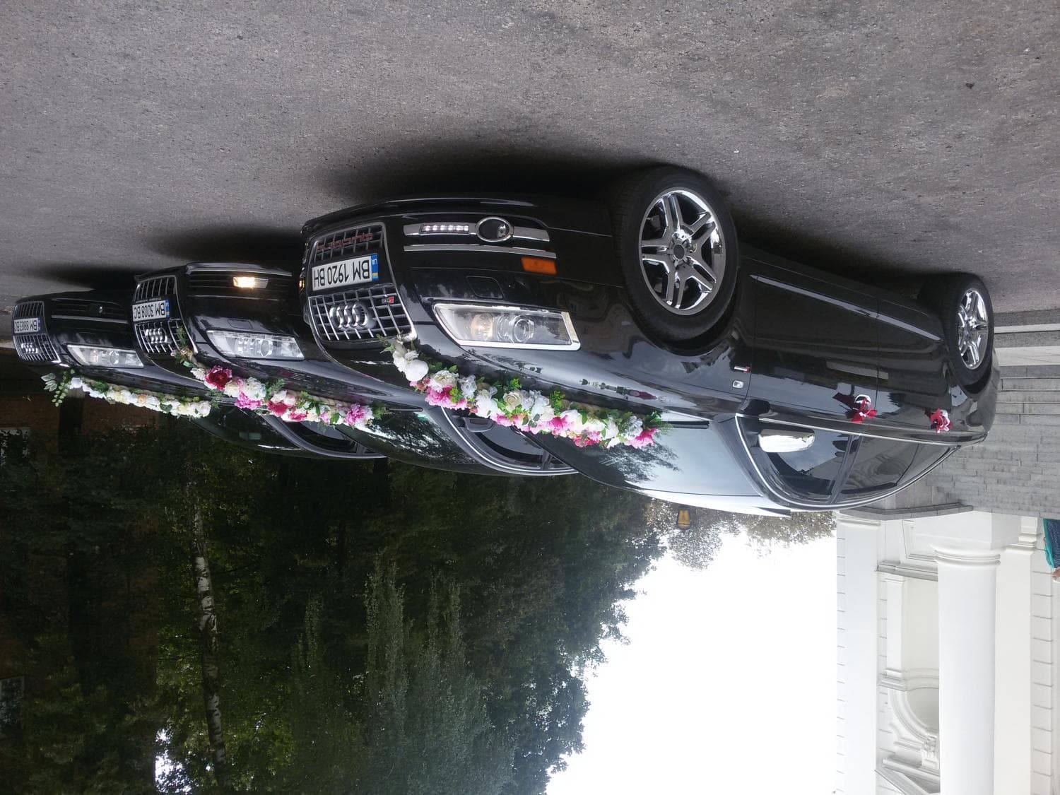 Свадебный кортеж Сумы Ауди А 6 — Наши авто, фото 4