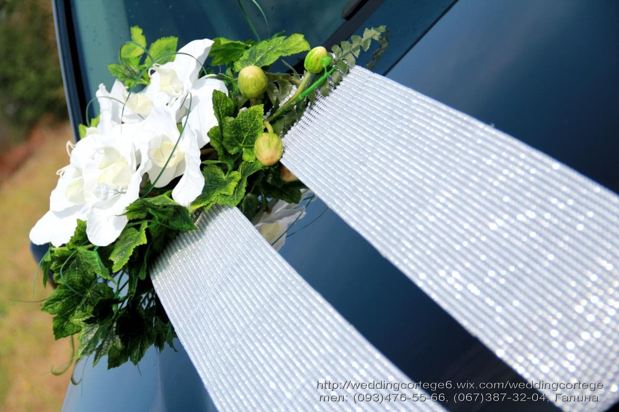 Wedding cortege — фото 1