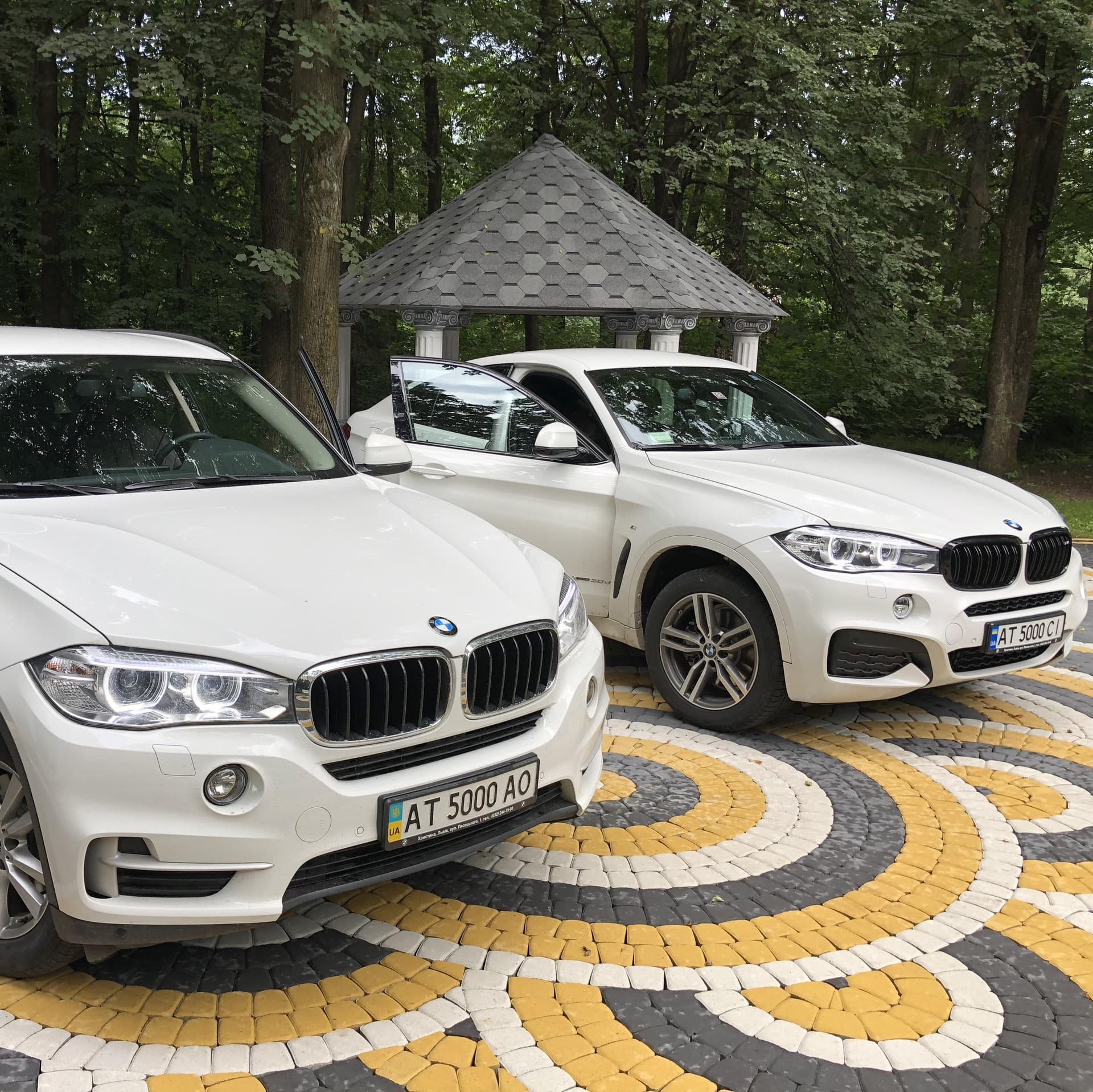 Vip кортеж NEW BMW X5 & X6 — логотип