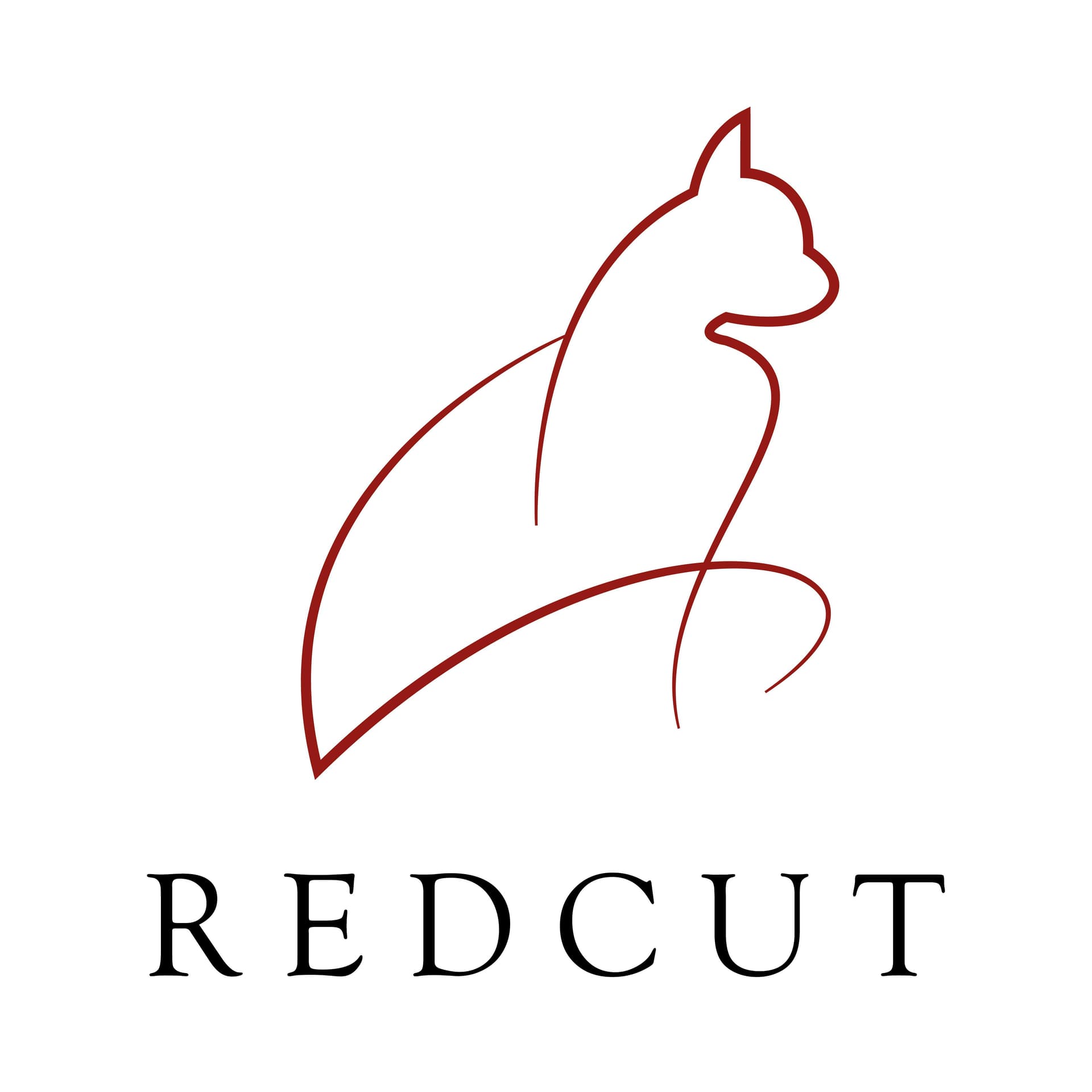 RedCut відео та фото — Відеооператор
