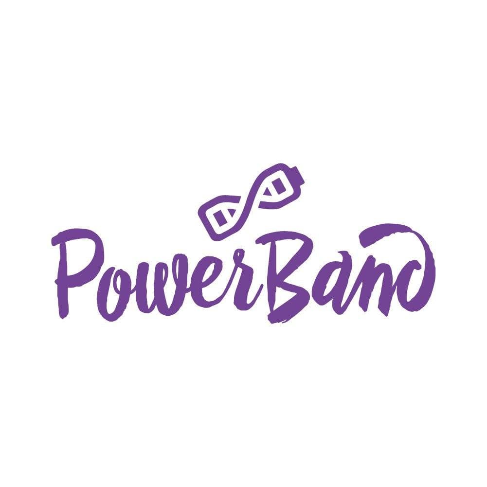 Музичний гурт POWER BAND — Музичні гурти