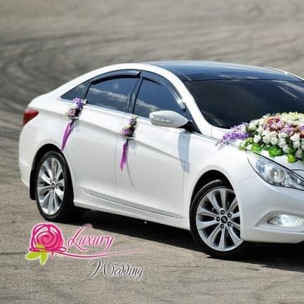Luxury-wedding — Весільний кортеж