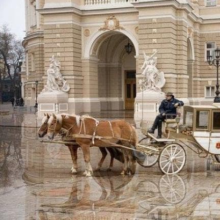 Pegasus — Весільний кортеж
