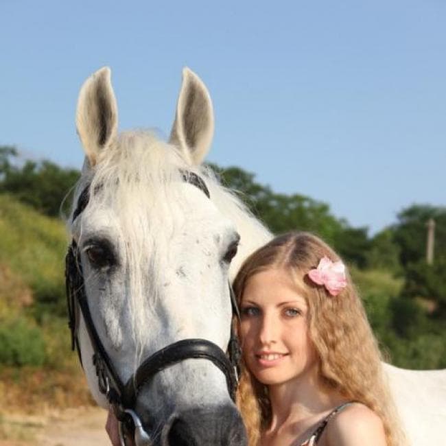 Pegasus — Фотограф