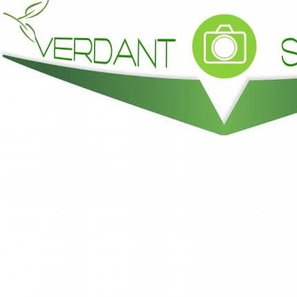 VERDANT Studio — логотип