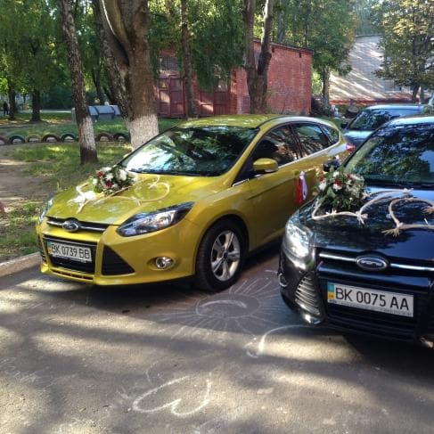 Авто на весілля Рівне — логотип