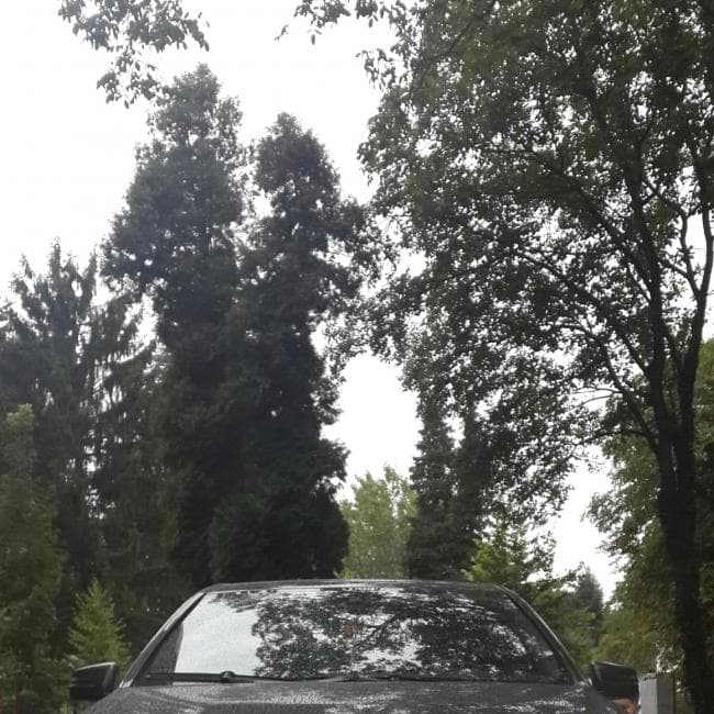 Влад — логотип