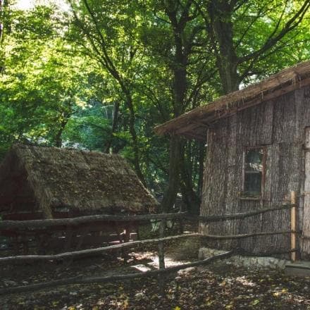 Юля Рудніцька — логотип
