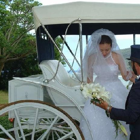 Агентство авторских свадеб "Royal Wedding" — Весільні агенції