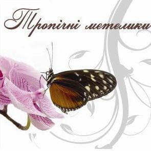 Феэрверки з метеликів — Піротехніка