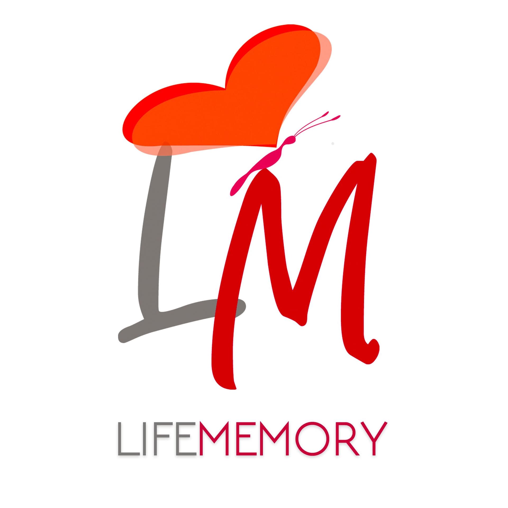 LIFEMEMORY (ЛАЙФМЕМОРІ) — Відеооператор