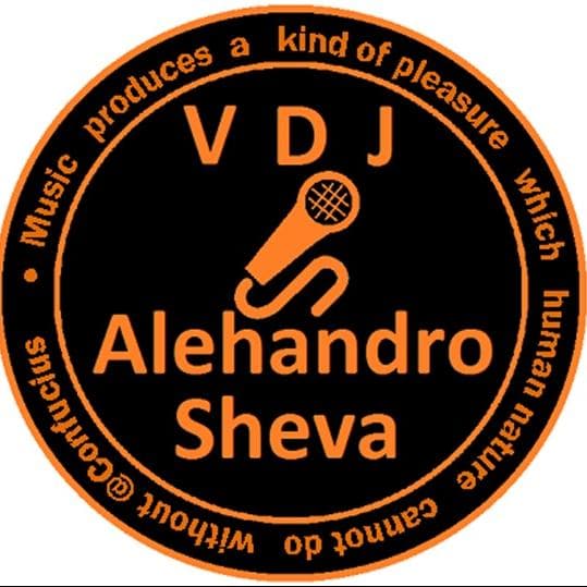 Vocal DJ Alehandro Sheva — DJ, Ді Джеї на весілля
