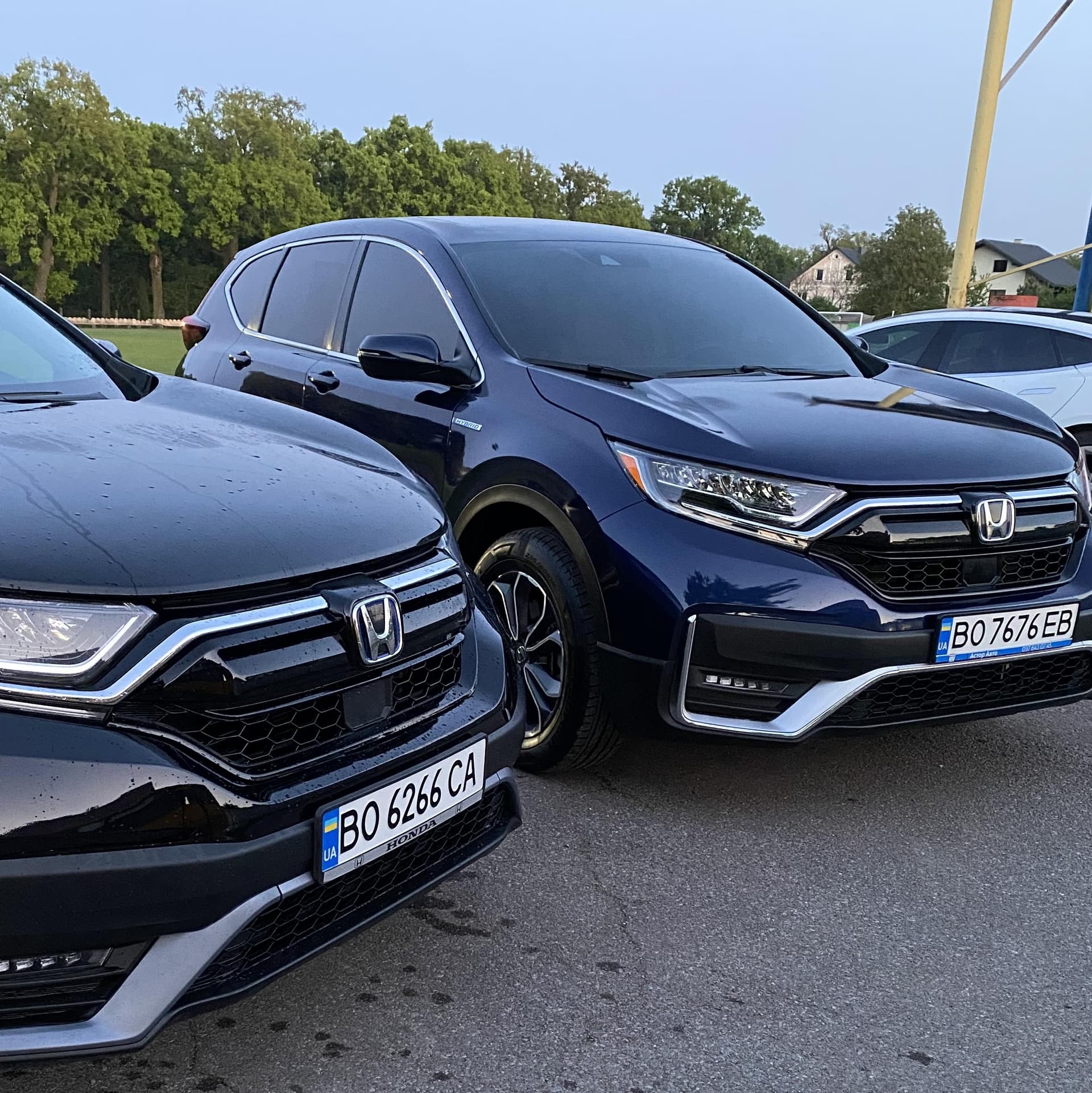 Весільний кортеж Тернопіль Honda Cr-V — Весільний кортеж