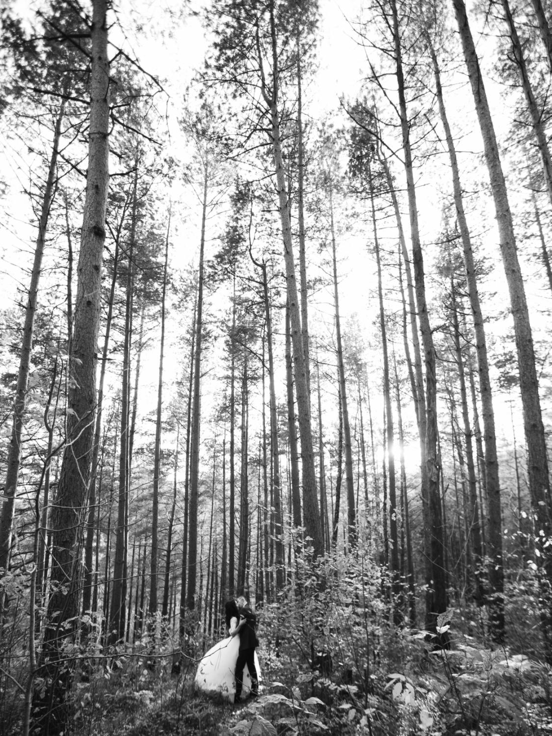 Весільна фотографія — Вікторія Лизан, Львів