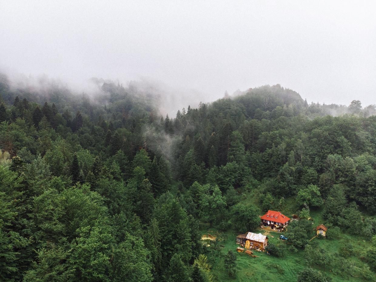 Весільна фотографія — Денис Константинов, Житомир