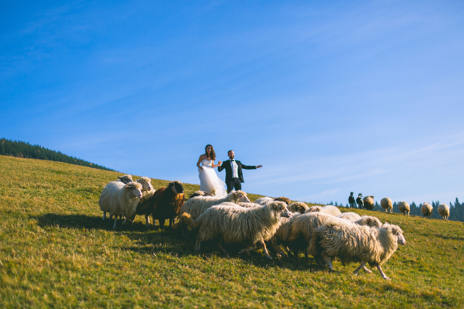 Весільна фотографія — M&M Photography, Львів