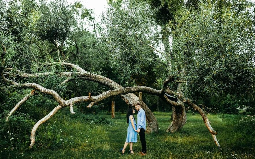 Весільна фотографія — Свадебный фотограф Александр Шуневич, Житомир
