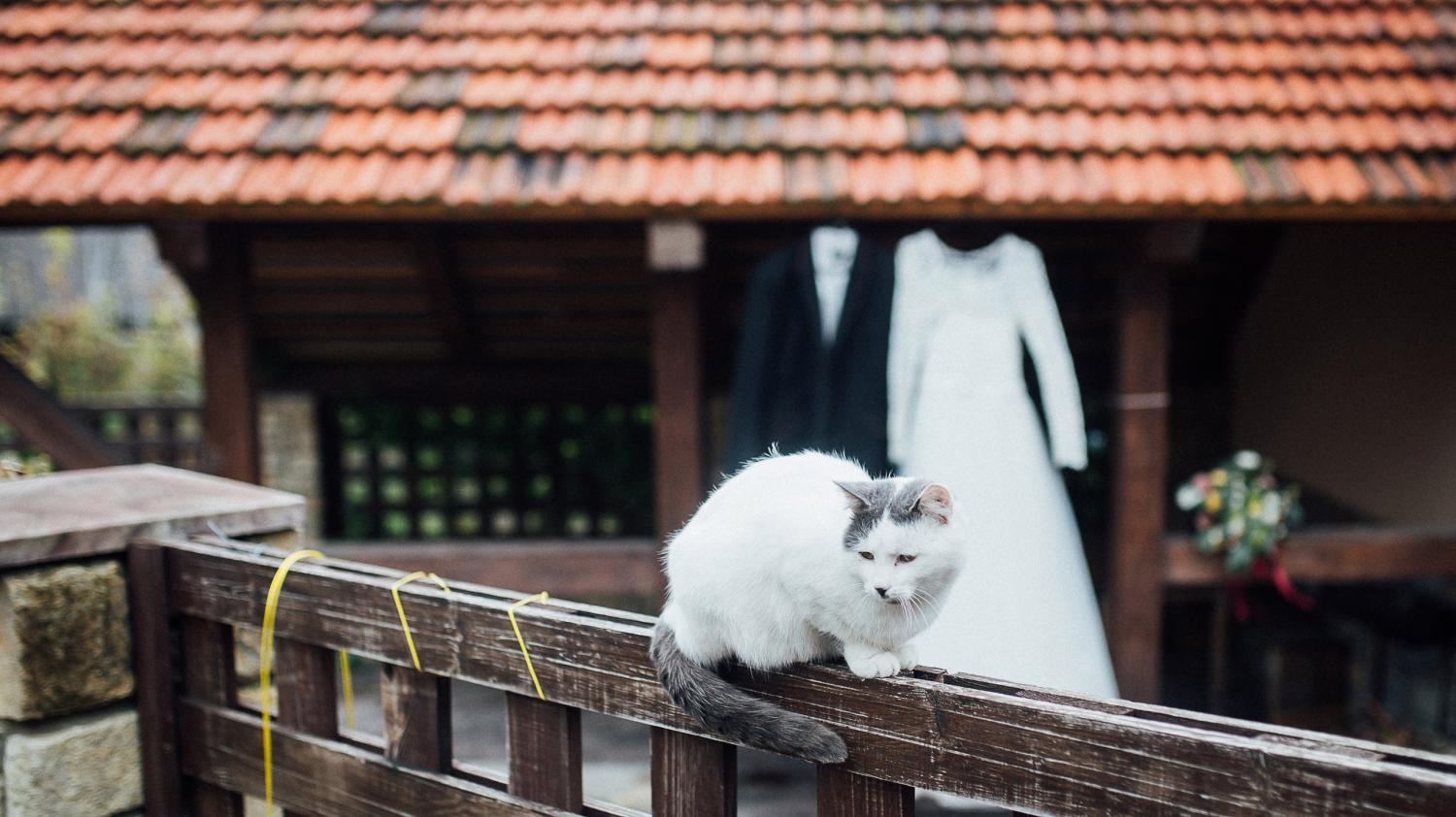 Весільна фотографія — Микола Цимбалюк, Луцьк