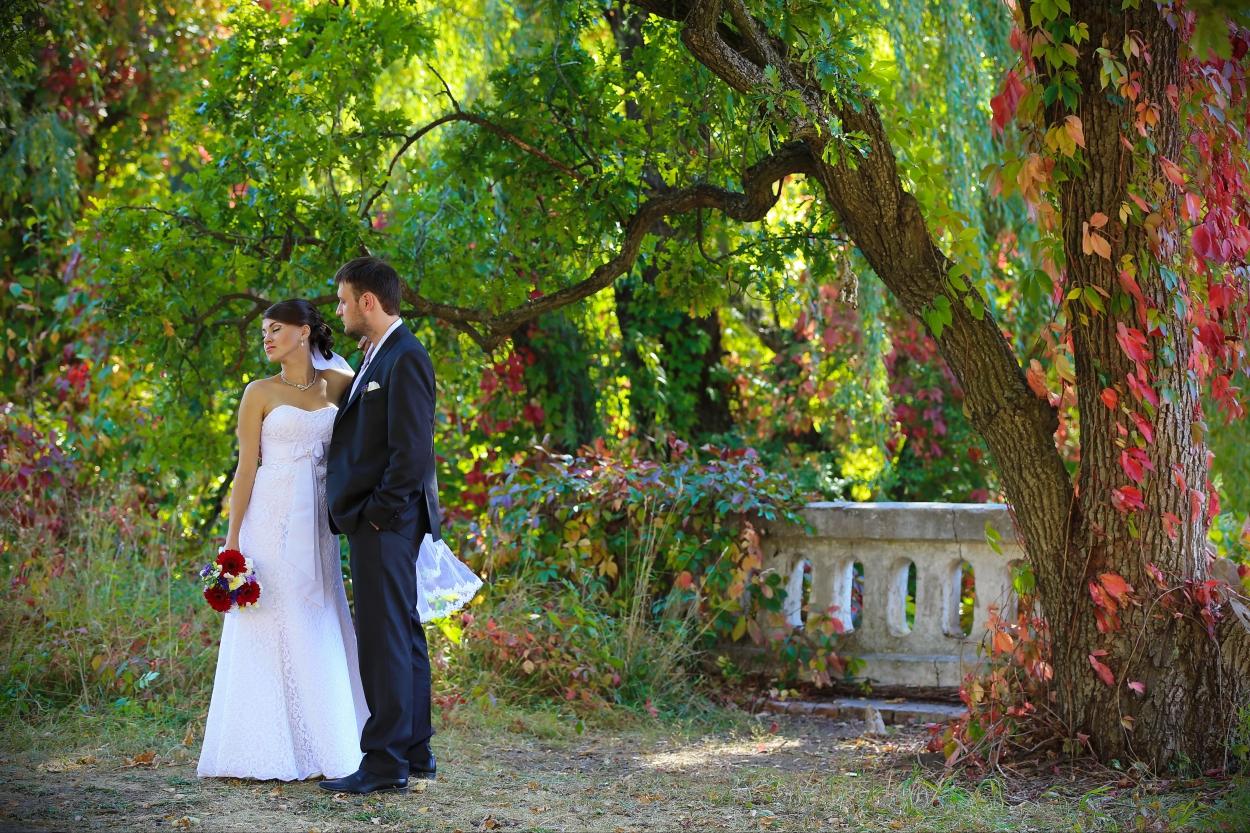 Весільна фотографія — Фотограф на свадьбу 0679531095, 0506554939, Суми