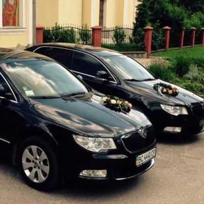 Весільний кортеж Skoda superb — логотип