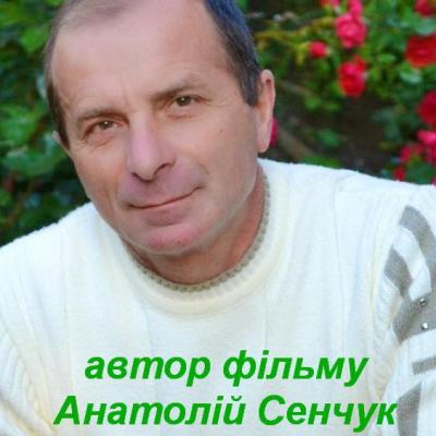 Весільна відеозйомка — логотип