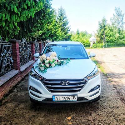 Машини на весілля — логотип