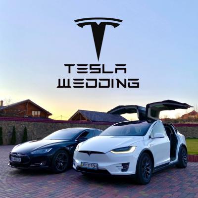 Tesla Wedding — логотип