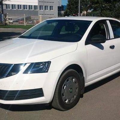 178 Skoda Octavia A7 новая аренда авто — логотип