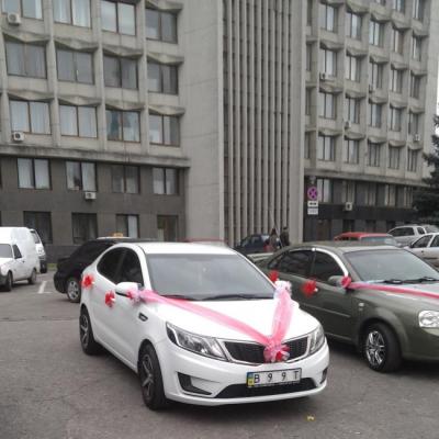 KIA RIO — логотип