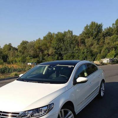 Паша . Чудове авто для вашого весілля — логотип