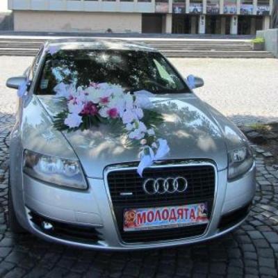Роберт - AUDI A6 — логотип