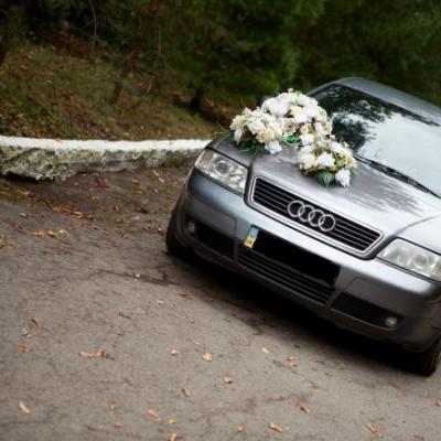 Весільний кортеж. Audi A6 для обслуговувуння весіл — логотип