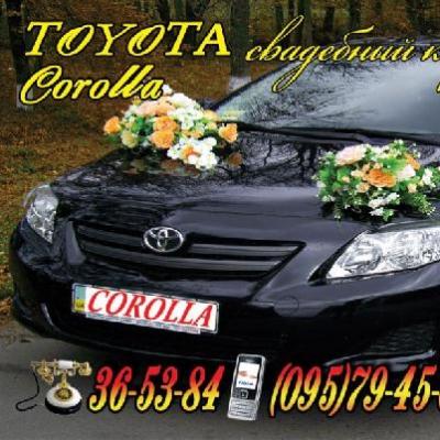 Свадебный кортеж "Toyota Corolla" - (Сумы) — логотип