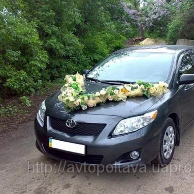 Свадебный кортеж Toyota Corolla — логотип