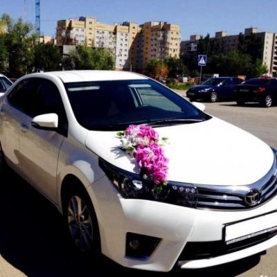 Весільний кортеж TOYOTA — логотип