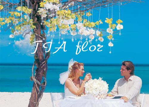 "T I A - флор". Студия флористики и дизайна. — логотип
