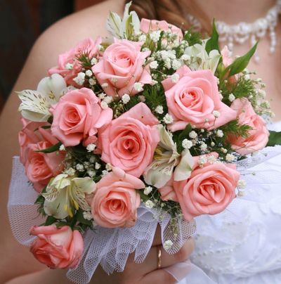 Белая орхидея — логотип