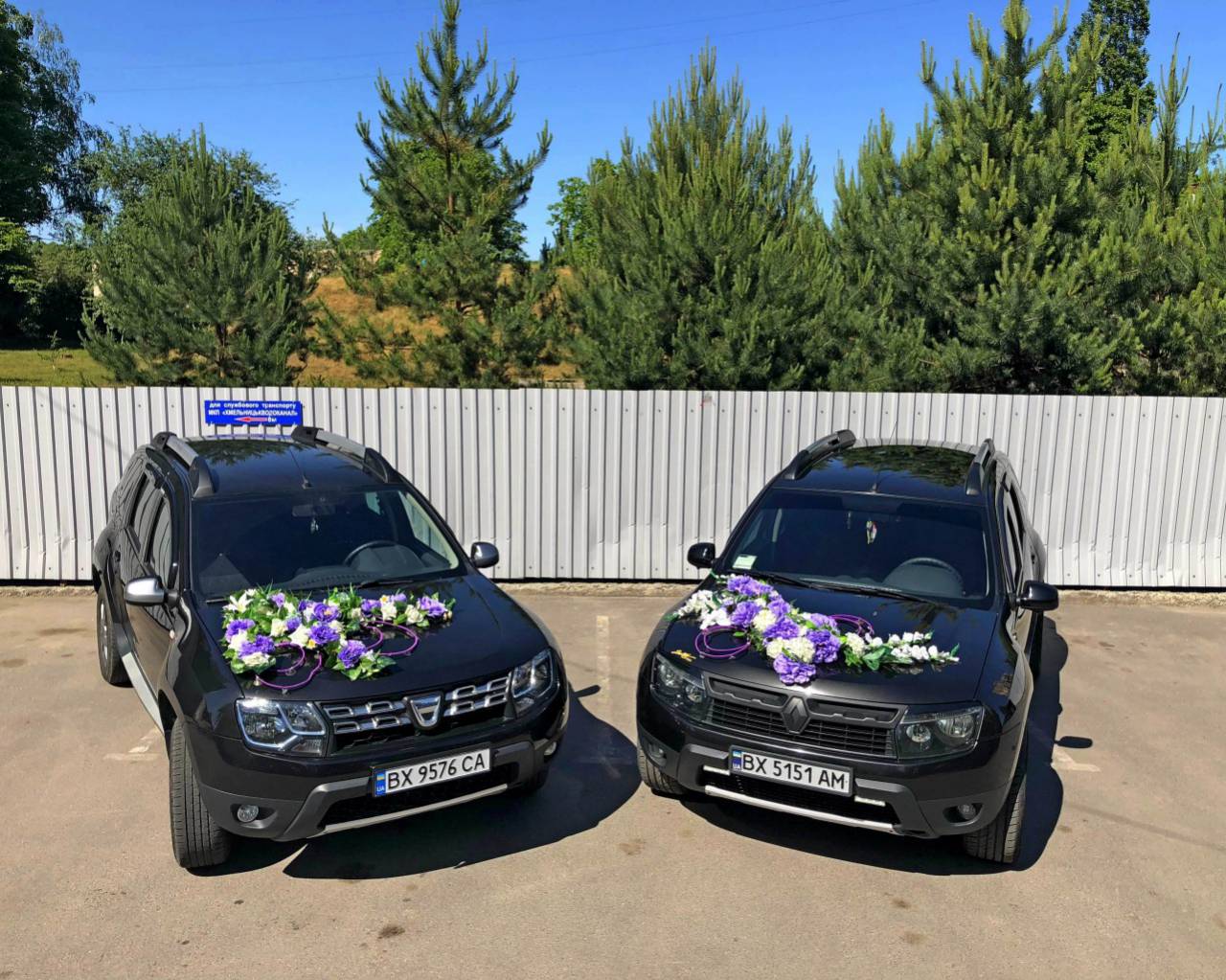 duster.wedding — логотип
